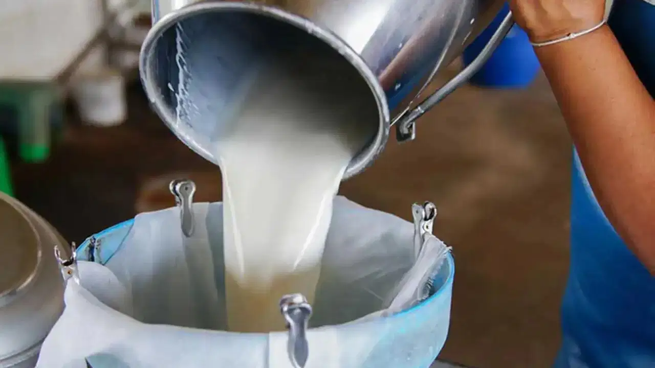 ulusal sut konseyi acikladi cig sut fiyatlarina zam geldi ClpPMZnN