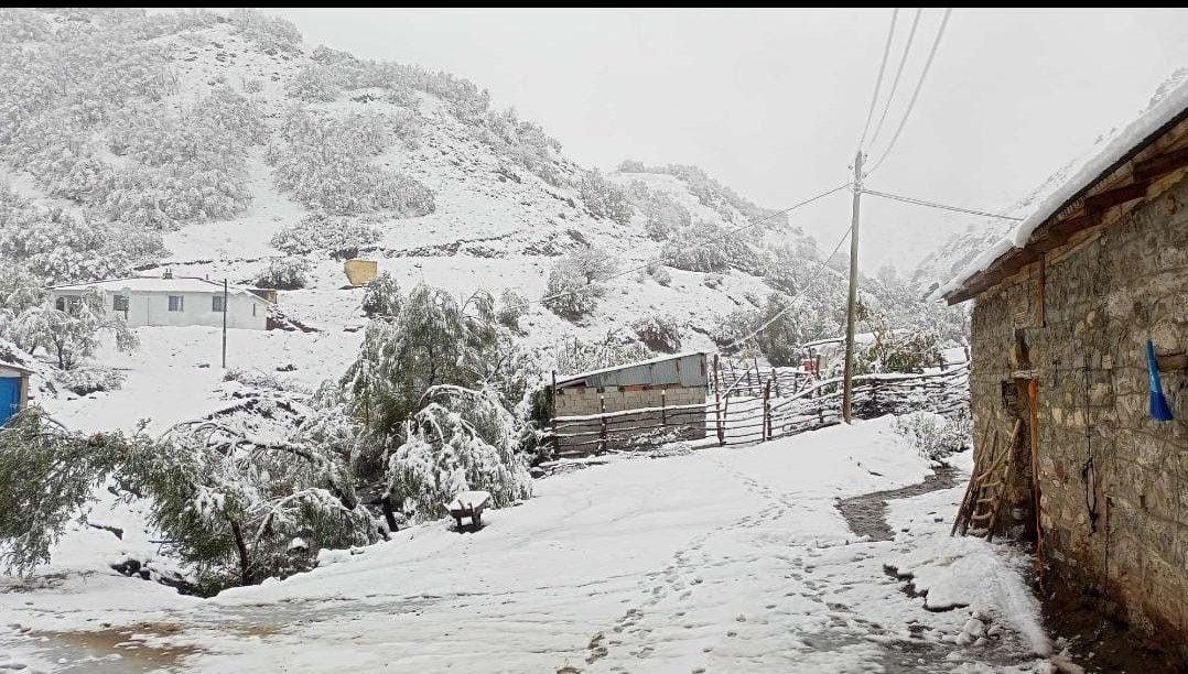 hasadi yapilmayan ceviz kar altinda kaldi fMdEnRsV.jpg