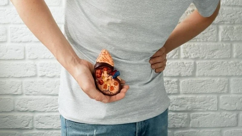 Yetersiz Su Tüketimi Böbrek Taşı Riskini Arttırıyor
