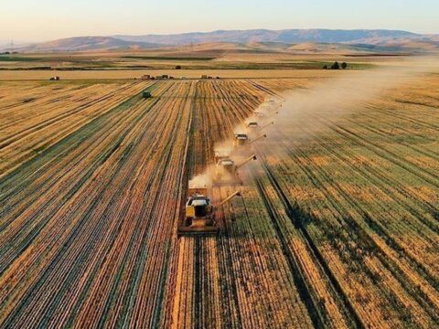 Tarım devi kepenk indirdi: 29 yıllık köklü firma iflas etti